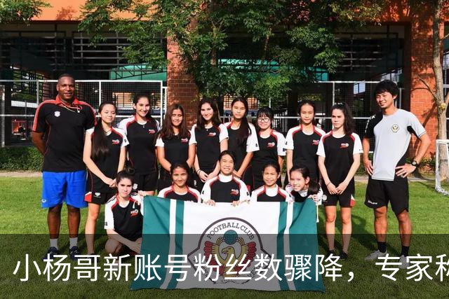 小杨哥新账号粉丝数骤降，专家称为系统故障现象现已恢复正常